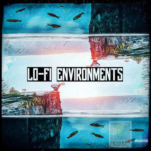 Toolbox Samples Lo-Fi Environments WAV