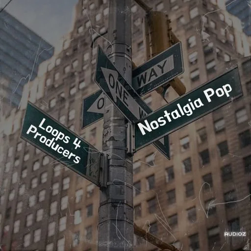 Loops 4 Producers Nostalgia Pop WAV