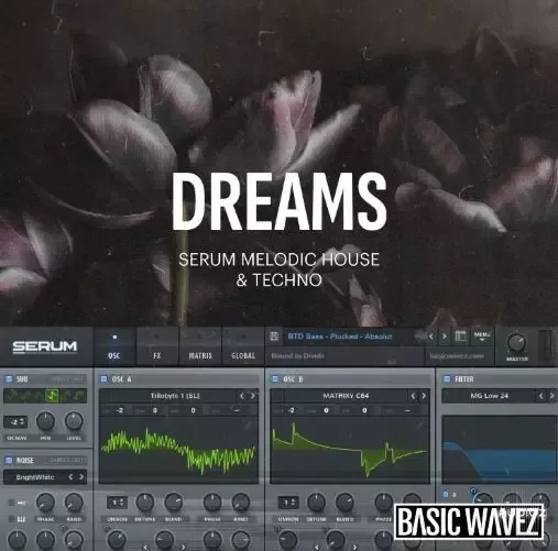 Baisc Wavez Dreams - Melodic House & Techno Presets for Serum