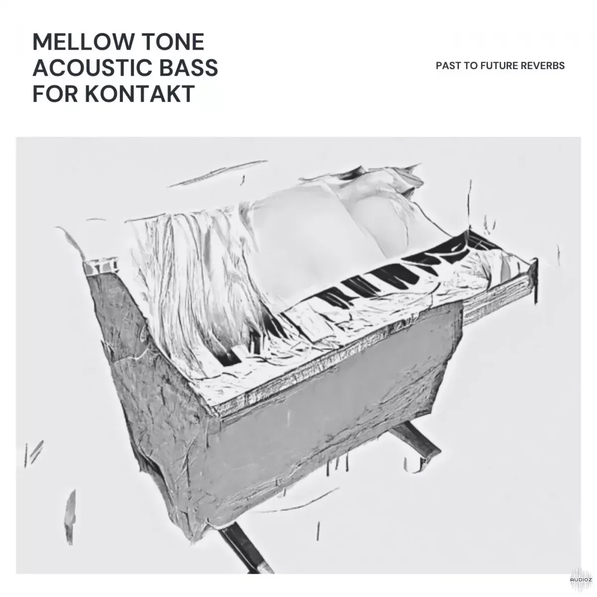 PastToFutureReverbs Mellow Tone Acoustic Bass For Kontakt & WAV! KONTAKT WAV