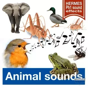 Hermes PH1 Sound Effects Animal Sounds (Long Versions) FLAC