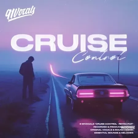 91Vocals Cruise Control - Retro Pop WAV-FANTASTiC