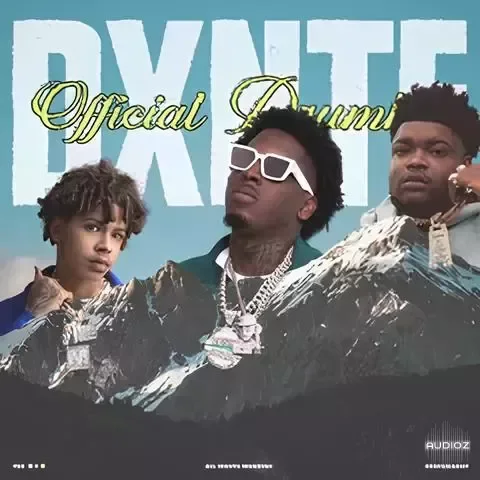 Dxntemadeit Official Drumkit 2024 WAV-FANTASTiC