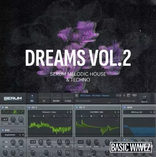 Baisc Wavez Dreams Vol. 2 - Melodic House & Techno Presets for Serum