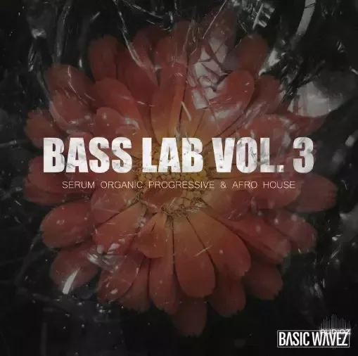 Basic Wavez Bass Lab Vol. 3 - Serum Presets For Progressive Organic & Afro House