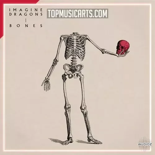 Top Music Arts Imagine Dragons Bones Ableton Remake (Pop) Ableton Project Files WAV Serum Presets-ARCADiA
