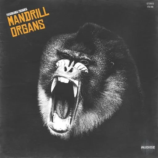 Patchbanks Mandrill Organs AiF