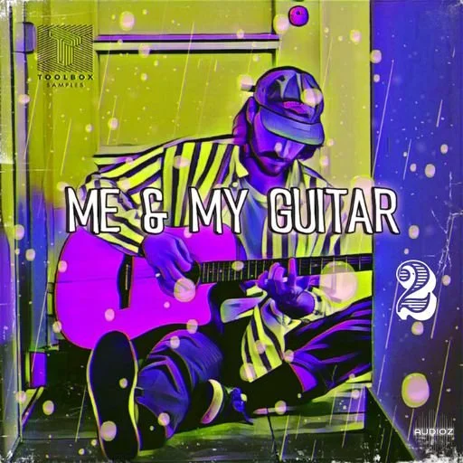 Toolbox Samples Me & My Guitar Vol 2 WAV