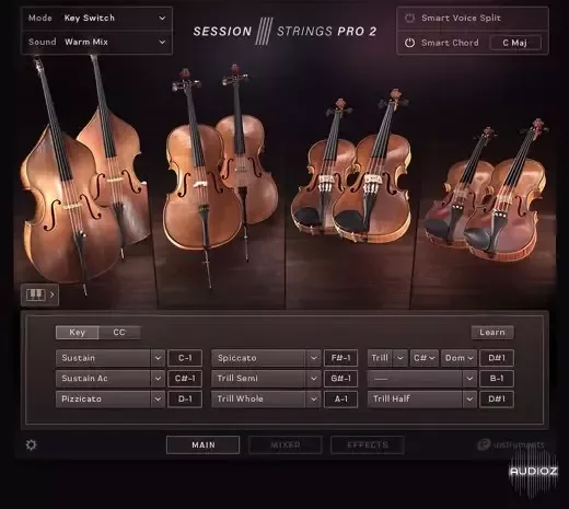 Native Instruments Session Strings Pro 2 v1.0.5 KONTAKT