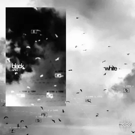 Eville BnW Drum Kit (Deluxe Edition) WAV Nudistort and EFX Presets-FANTASTiC