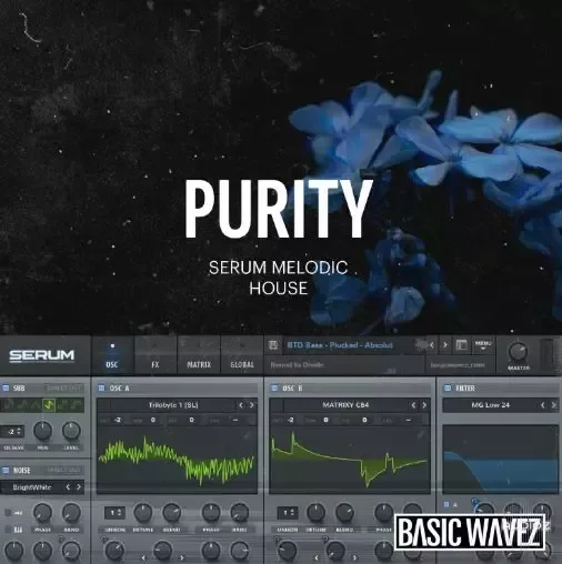 Baisc Wavez Embers Purity - Melodic House Presets for Serum