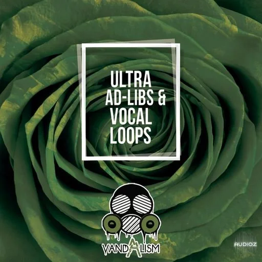 Vandalism Ultra Ad-Libs & Vocal Loops WAV
